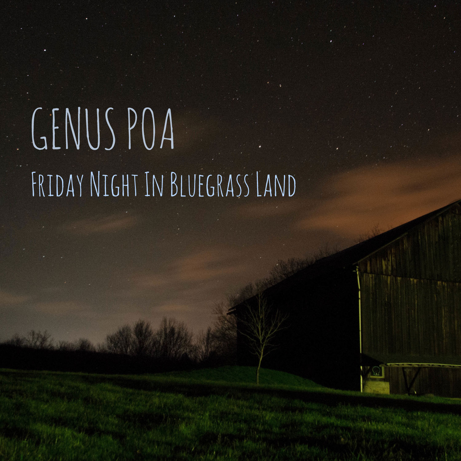 Friday Night in Bluegrass Land